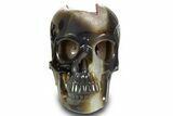 Realistic Polished Agate Skull with Amethyst Crystal Pocket #378637-1